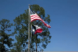 Flag over Woodville